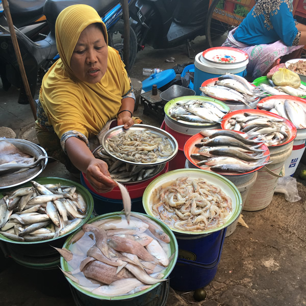 インドネシアの風景